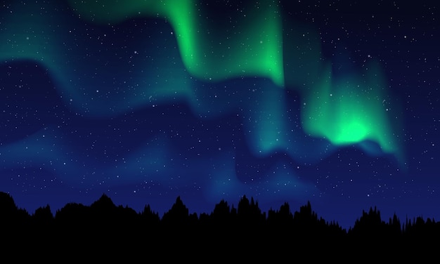 Realistic northern lights Night sky and amazing polar lights vector illustration