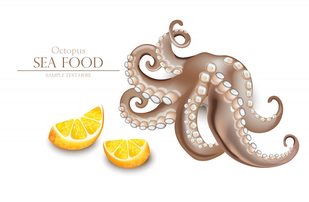 Realistic octopus sea food