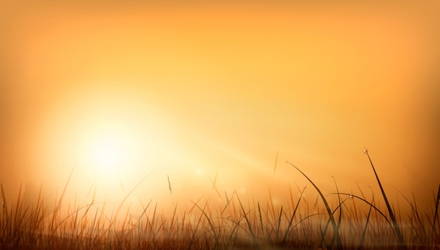 現実的なオレンジ色の夜明けの太陽光線と芝生のフィールド上の自然な背景のまぶしさ。夕焼け空の背景デザイン。スタイリッシュなイラスト。