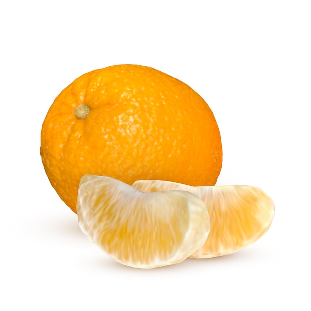 Vector realistic orange isolated on white background