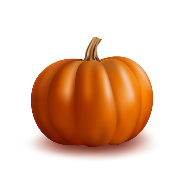 Realistic orange pumpkin icon on white for decoration halloween