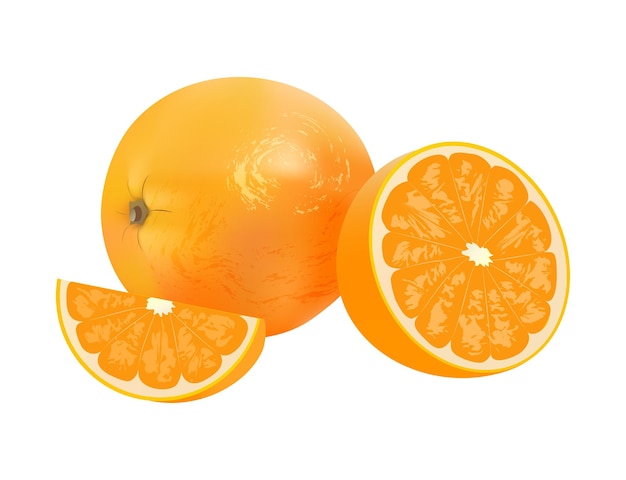 Vector realistic orange