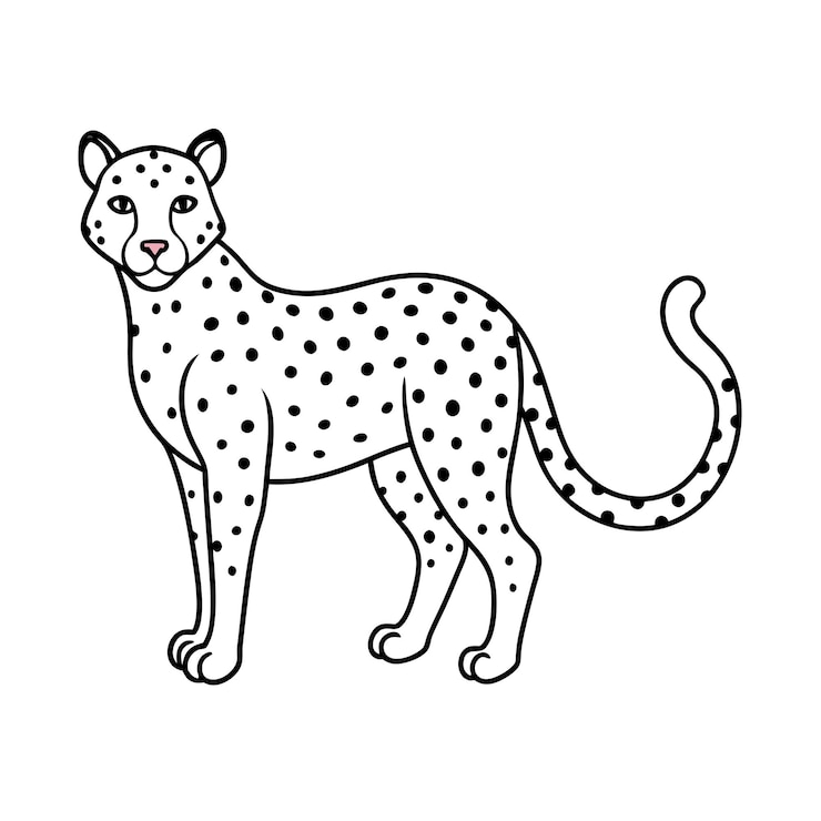 Vector realistic outline vector illstration of popular pet cat