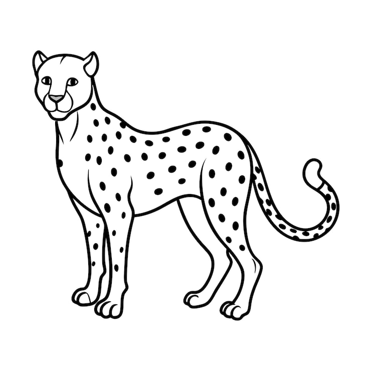 Vector realistic outline vector illstration of popular pet cat