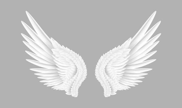 Vector realistic pair of white angel wings