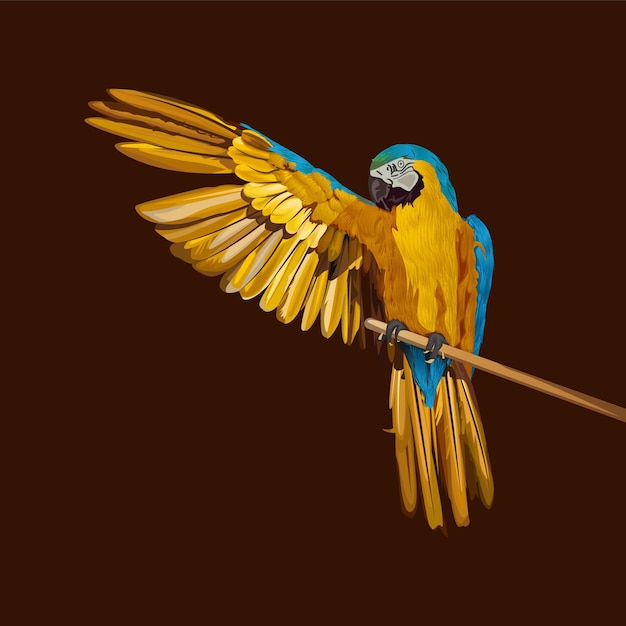 Vettore arte del pappagallo realistico