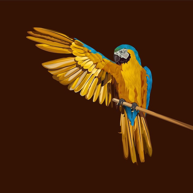 Realistic Parrot Art