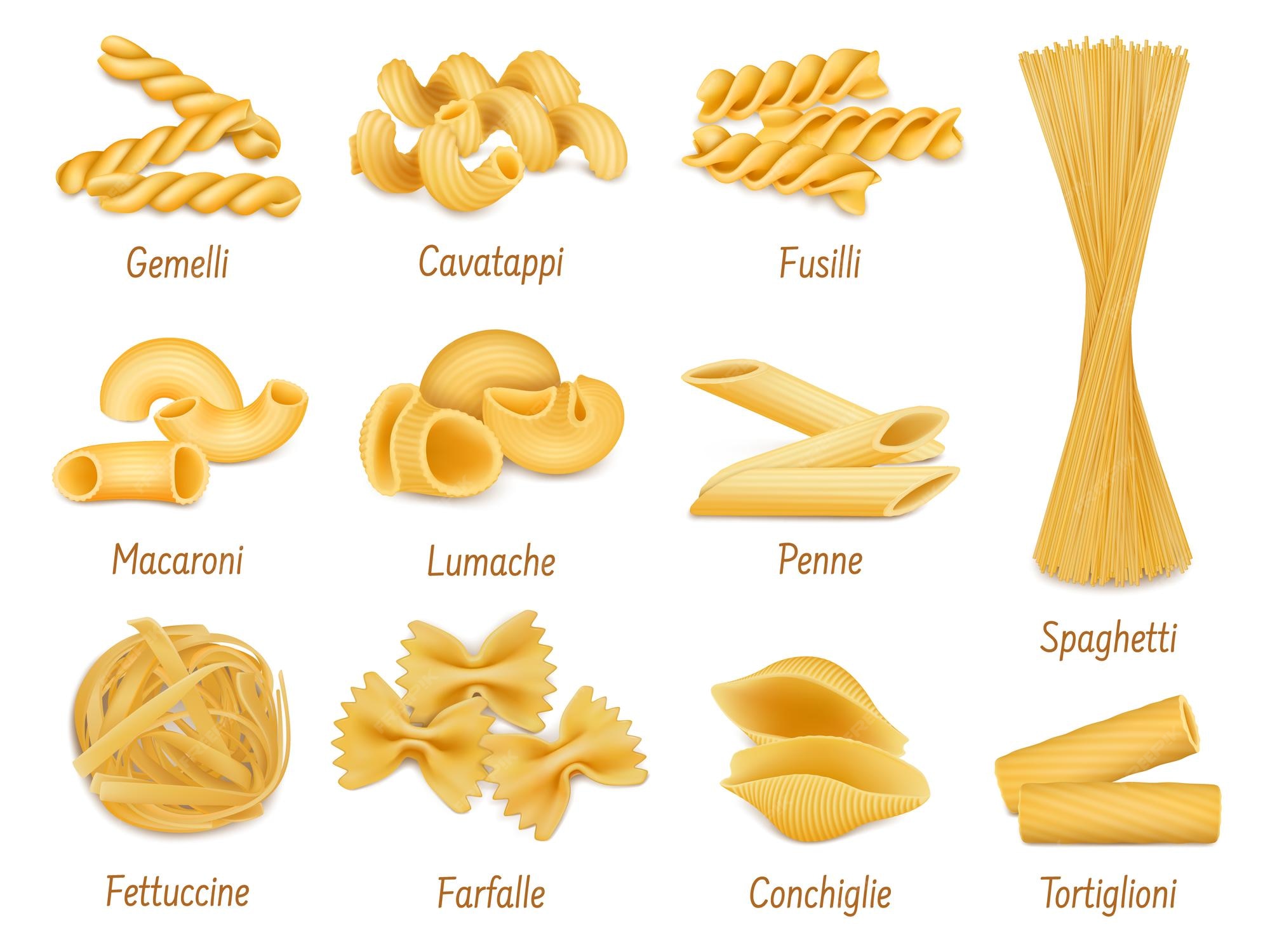 Premium Vector | Realistic pasta types farfalle spaghetti and penne macaroni  italian cuisine dish dry organic pasta vector illustration set pasta types  for restaurant menu wheat products assortment