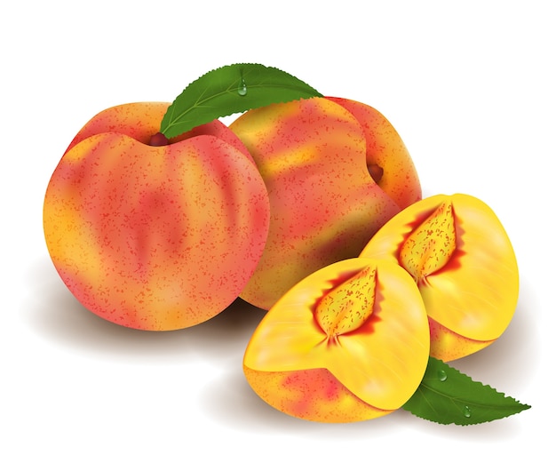 Realistic peaches whole and green leaves with drops