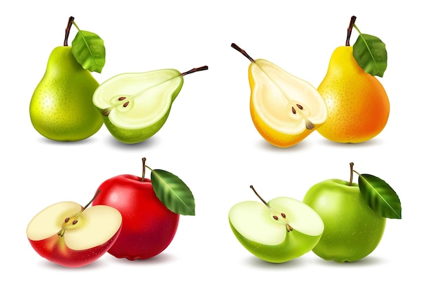 Vector realistic pear apple icon set yellow green pears and red green apples whole and halves vector illustration