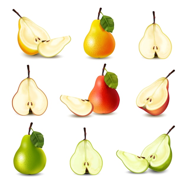 Vector realistic pear big icon set yellow green pears with and without leaves whole and cut in half quarters vector illustration