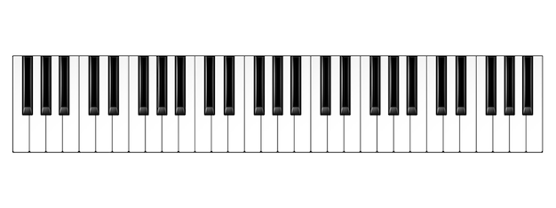 Realistic piano keys musical instrument keyboard vector illustration