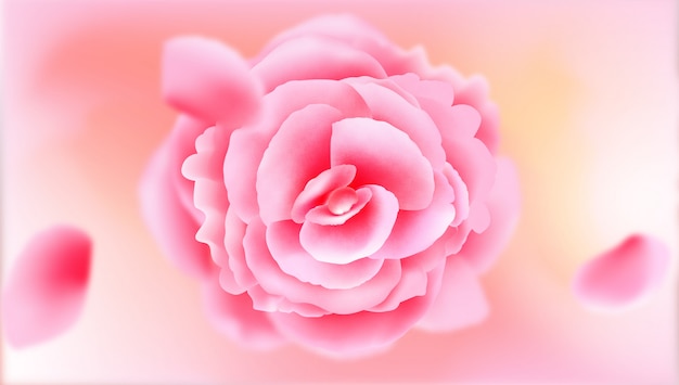 Vector realistic pink blossom flower background