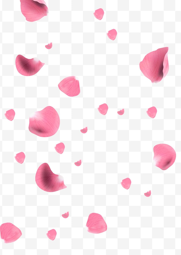 Vector リアルなピンクのバラの花びらが飛んでいる