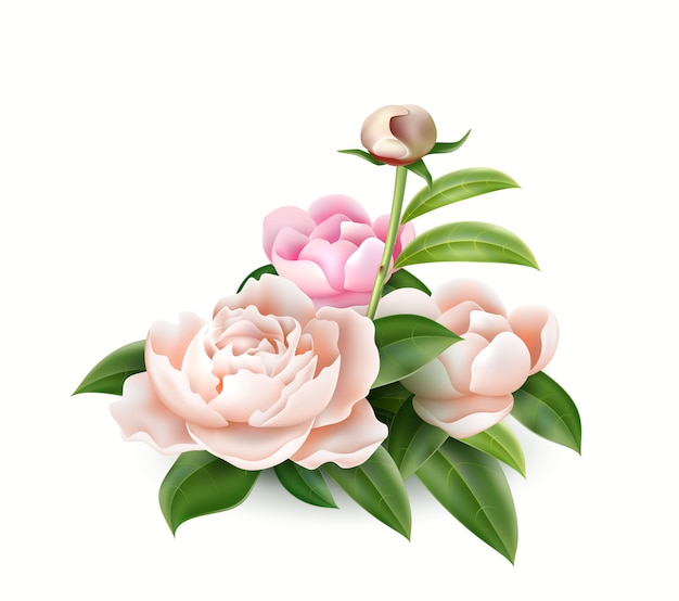 Realistico bouquet di peonia bianca e rosa con foglie verdi