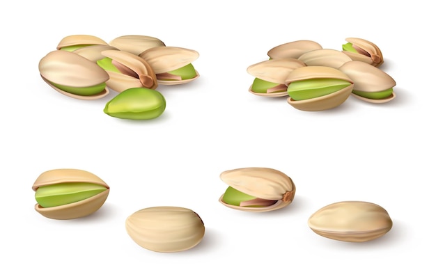 Realistic pistachio 3d natural organic vegan nut in shell macro graphic template for nutty food packages and advertising healthy plant snack vector isolated unshelled seeds set