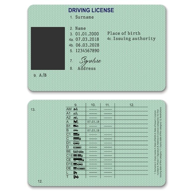 Реалистичная пластиковая водительская лицензия сзади и спереди
