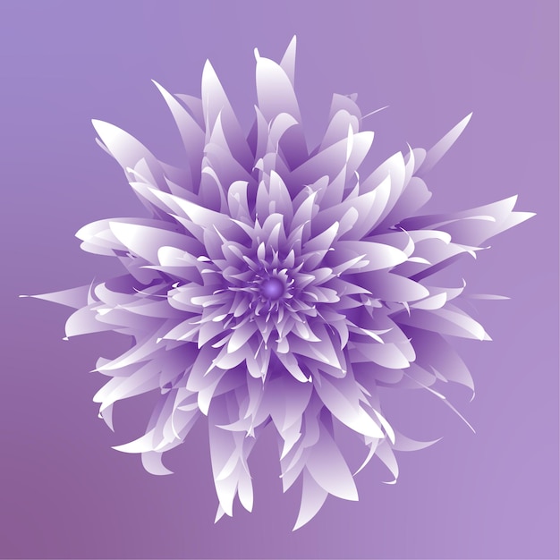 Realistic purple flower illustration