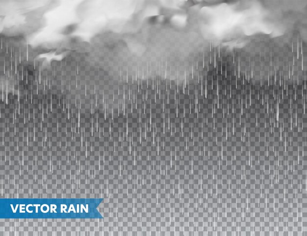 Realistic rain with clouds on transparent background rainfall water drops effect autumn wet rainy day vector illustration