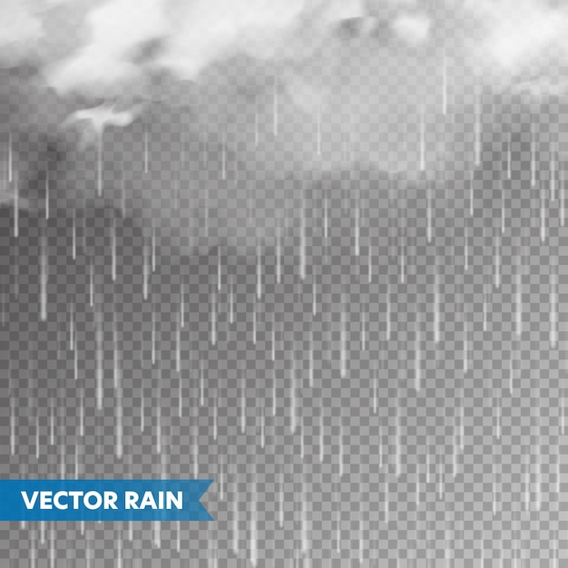 realistic rain with clouds on transparent background rainfall water drops effect autumn wet rainy