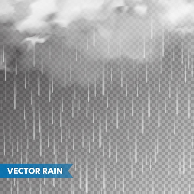 Vector realistic rain with clouds on transparent background rainfall water drops effect autumn wet rainy