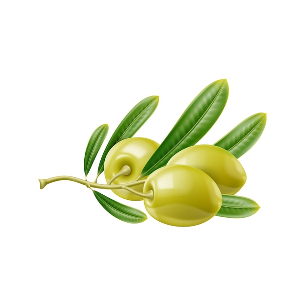 Vector realistic raw green olives isolated olive branch and leaves closeup 3d vector fresh green plump berries clustered on stem adorned with vibrant foliage promising a taste of mediterranean cuisine