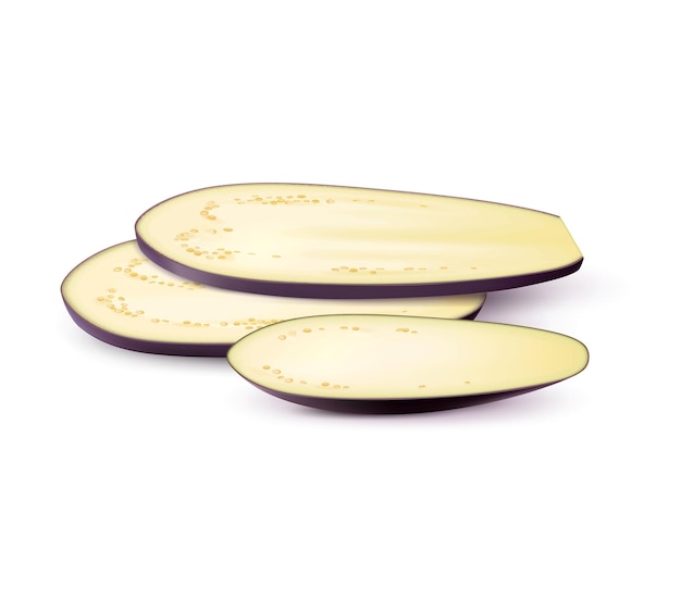 Vector realistic raw isolated eggplant vegetable slices