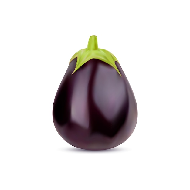 Realistic raw isolated eggplant with glossy skin