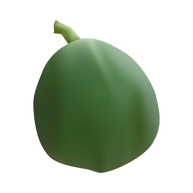 Vector realistic raw papaya, vector illustration