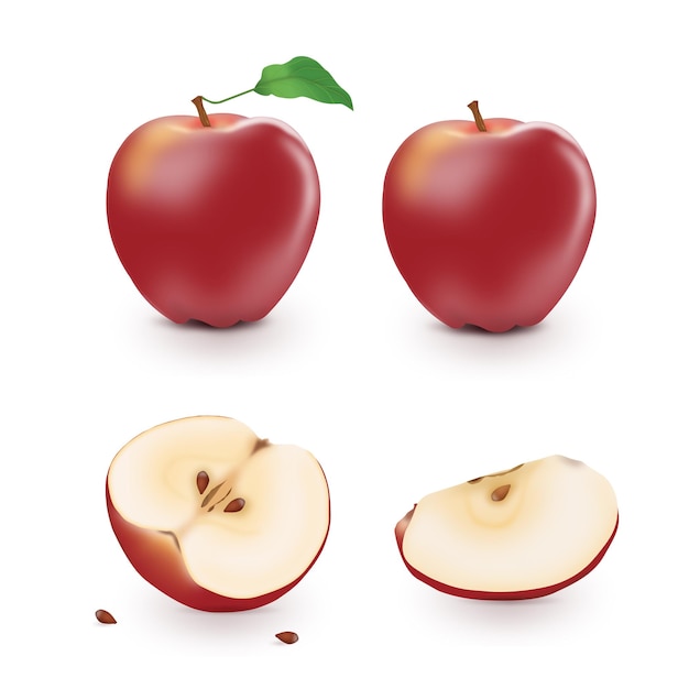 Realistic red apple fruit