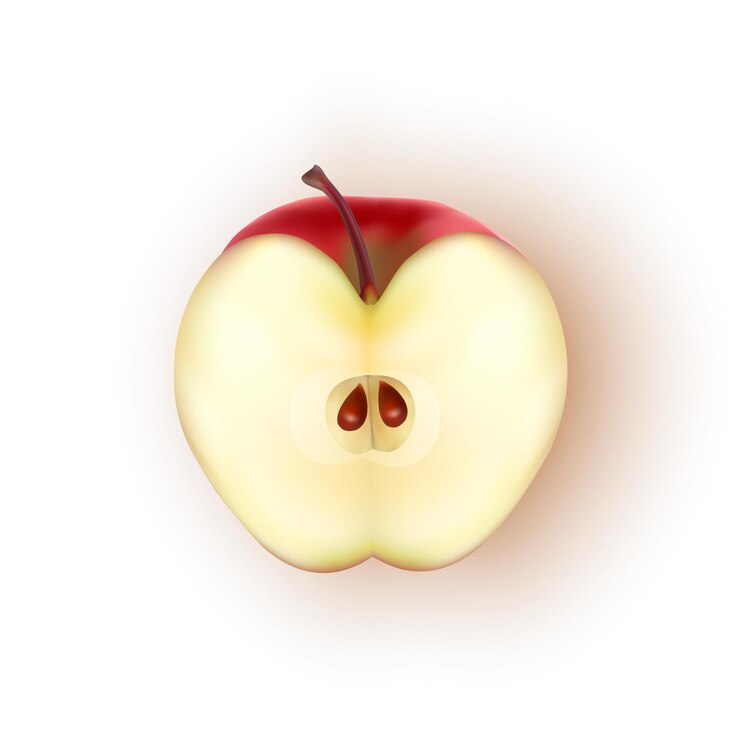 Vector realistic red apple on white background ripe apple in vector format