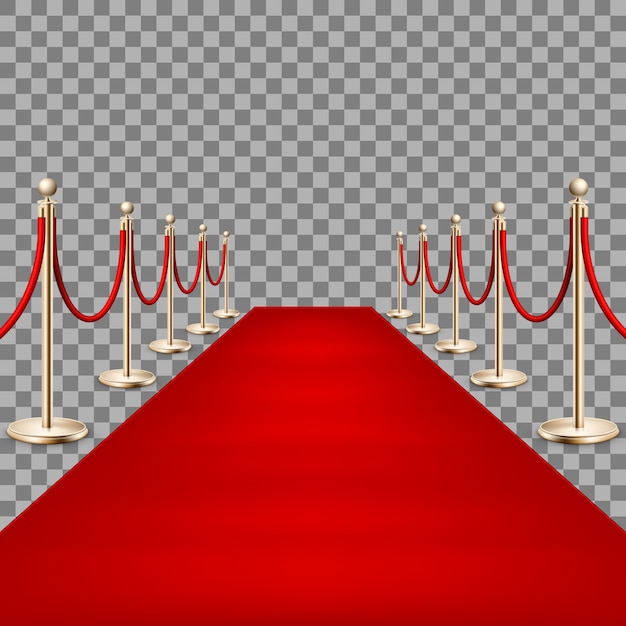 Vector realistic red carpet between rope barriers.