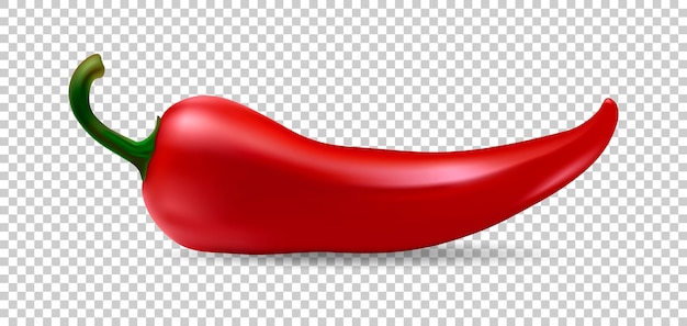 Realistic red chilli pepper icon isolated on transparent background. design template of food closeup in eps10 vector.