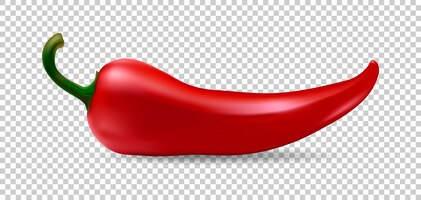 Vector realistic red chilli pepper icon isolated on transparent background. design template of food closeup in eps10 vector.