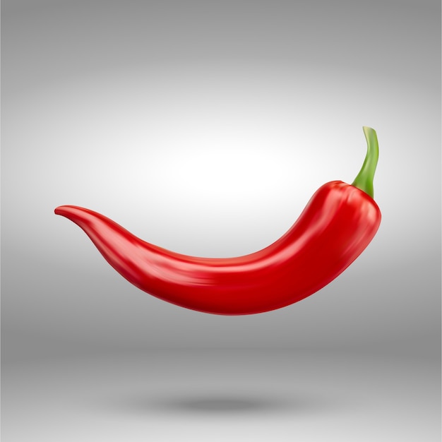 Realistic Red hot natural chili pepper