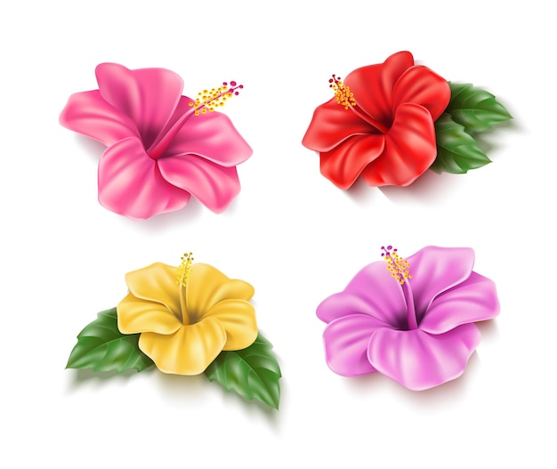 Realistic red pink yellow hibiscus flowers set tropical plants for pool party summer holiday