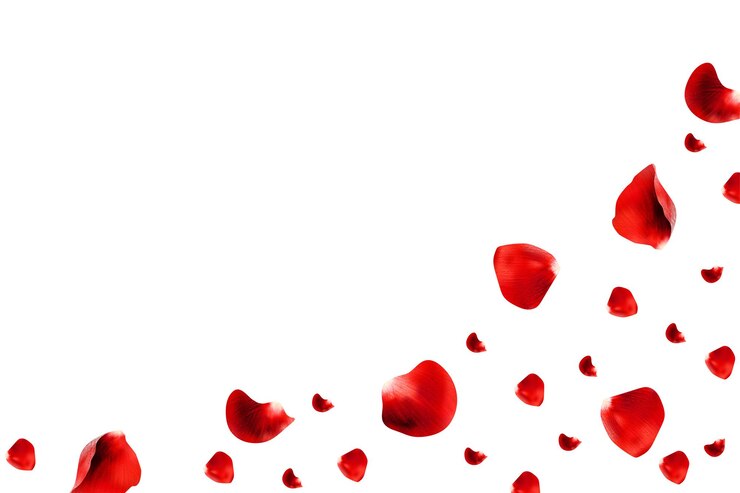 Vector realistic red rose petals corner composition