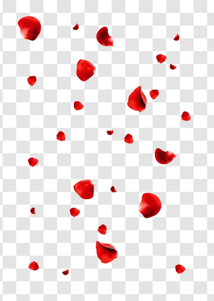 Vector 孤立して飛ぶ現実的な赤いバラの花びら