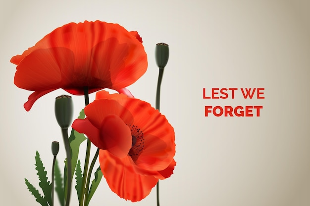 Vector realistic remembrance day background