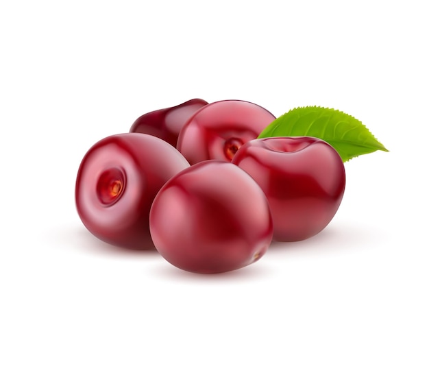 Realistic ripe cherry raw red cherry berry bunch