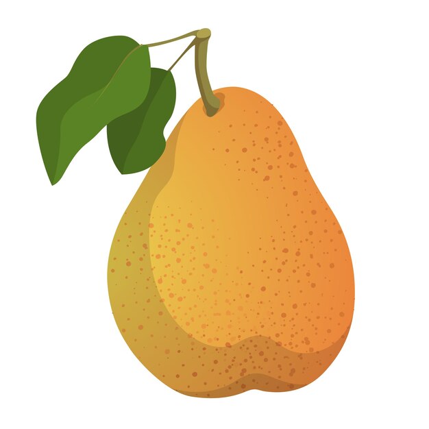 Realistic ripe fresh pear against white background Vector illustration