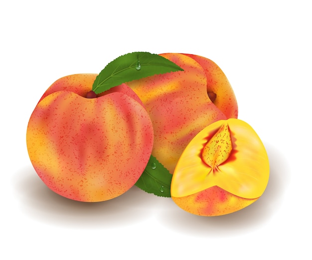 Вектор Реалистичные спелые персики целиком и ломтик, изолированные на белом фоне