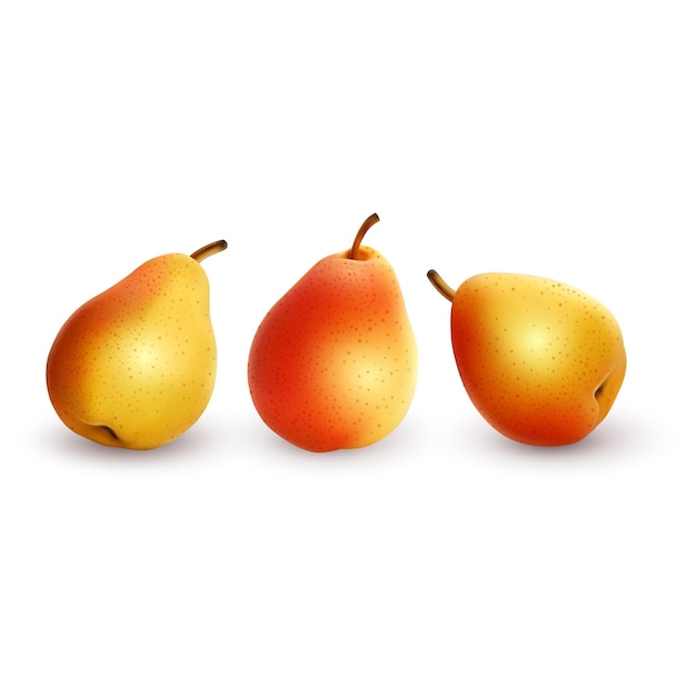 Vector realistic ripe pear on a white background vector illustration