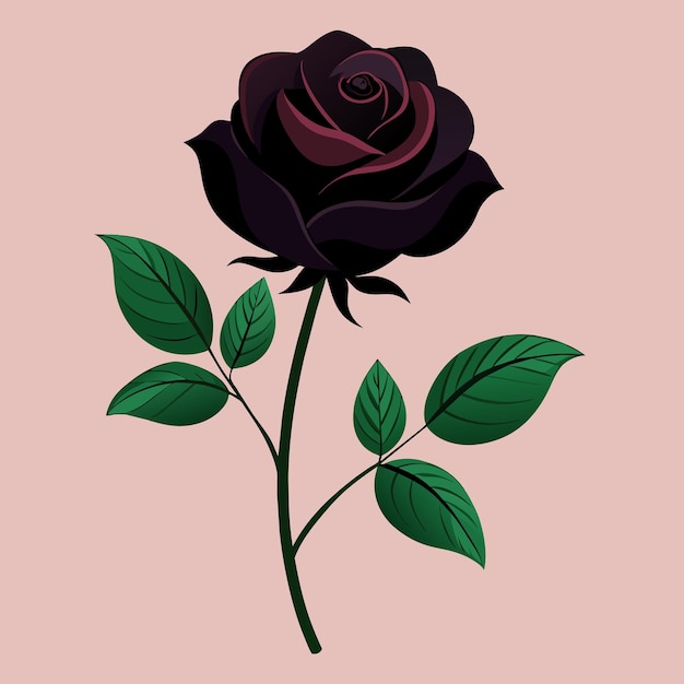 realistic rose clip art vector illustration