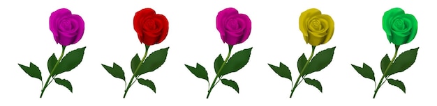 Vector realistic rose flower design set