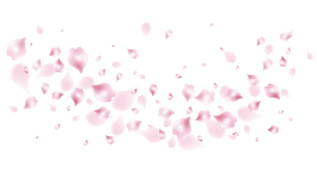 Realistic sakura flower petal background