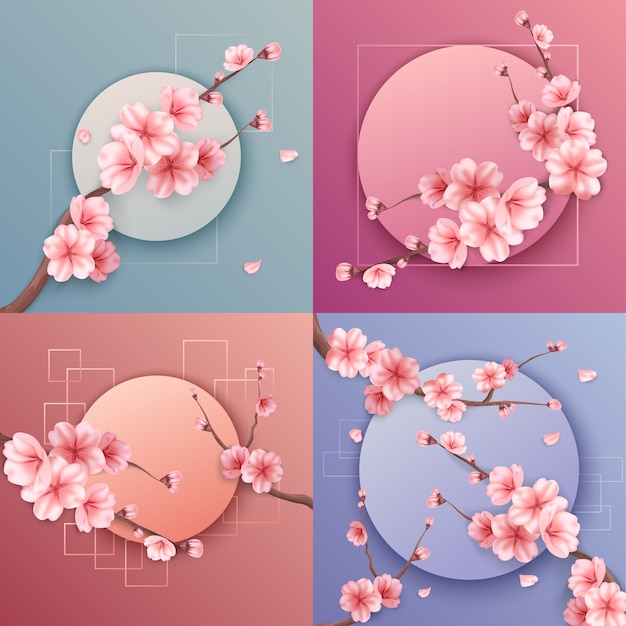 realistic sakura tree round frame background set