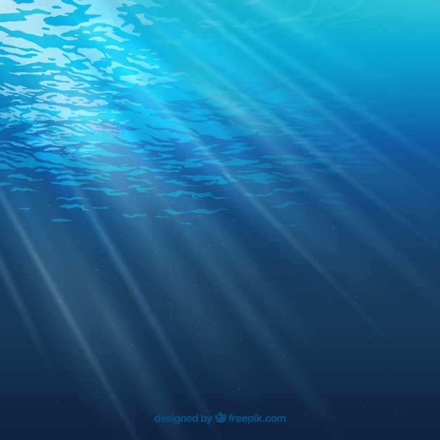 Vector realistic sea floor with sunshine