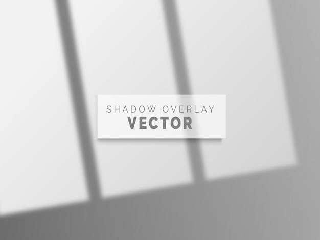 Vector realistic shadow overlay vector on clean wall