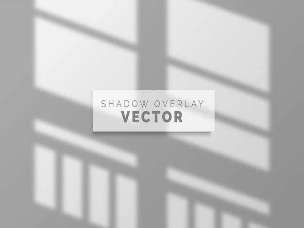 Vector realistic shadow overlay vector on clean wall